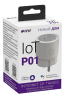 WiFi Умная розетка 10А P01